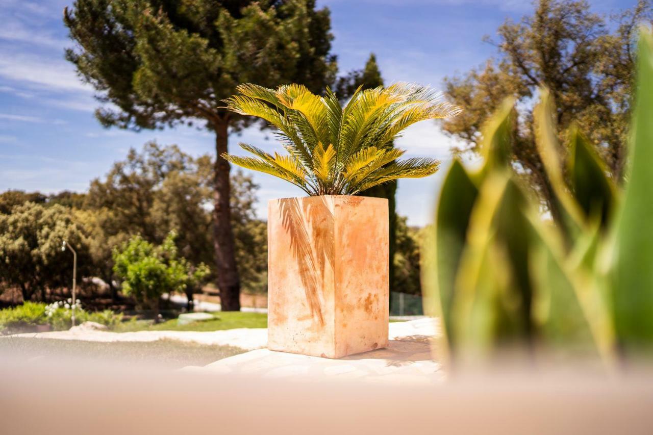 Villa Valparaiso Alhama de Granada Eksteriør bilde